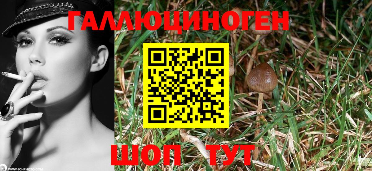 цена   Галлюциногенные грибы мухоморы  Вход с VPN  Галлюциногенные грибы ЛСД  Октябрьский 