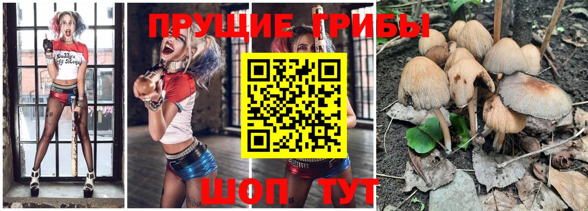 Галлюциногенные грибы ЛСД Октябрьский